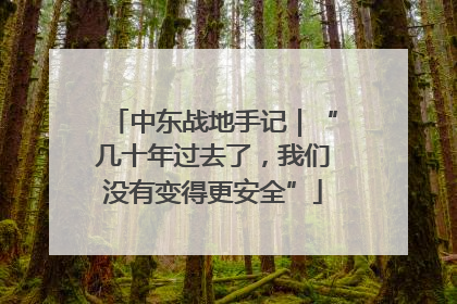 中东战地手记｜“几十年过去了，我们没有变得更安全”