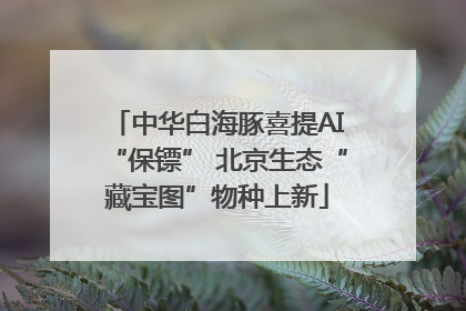 中华白海豚喜提AI“保镖” 北京生态“藏宝图”物种上新