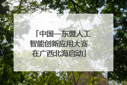 中国—东盟人工智能创新应用大赛在广西北海启动