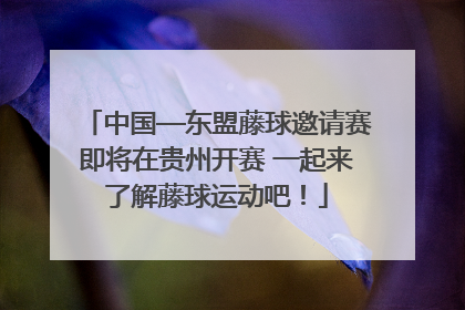 中国—东盟藤球邀请赛即将在贵州开赛 一起来了解藤球运动吧！
