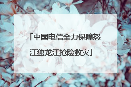 中国电信全力保障怒江独龙江抢险救灾