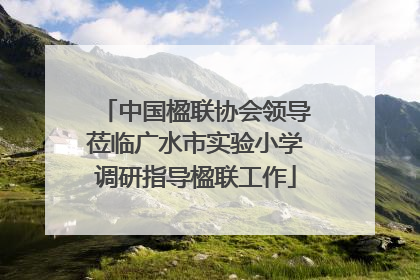 中国楹联协会领导莅临广水市实验小学调研指导楹联工作