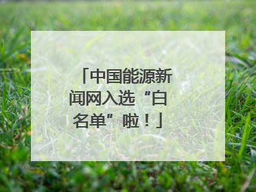 中国能源新闻网入选“白名单”啦！