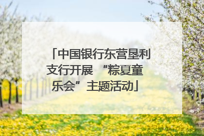 中国银行东营垦利支行开展 “粽夏童乐会”主题活动