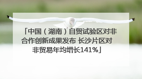 中国（湖南）自贸试验区对非合作创新成果发布 长沙片区对非贸易年均增长141%
