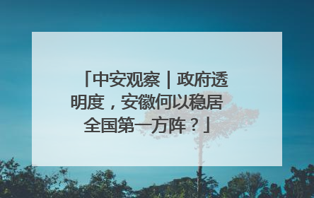 中安观察｜政府透明度，安徽何以稳居全国第一方阵？