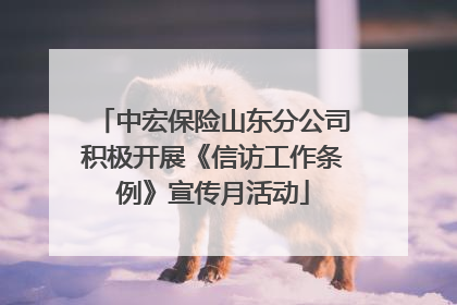中宏保险山东分公司积极开展《信访工作条例》宣传月活动