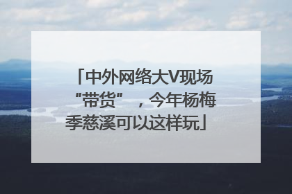 中外网络大V现场“带货”，今年杨梅季慈溪可以这样玩