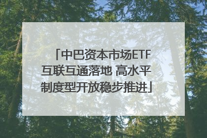 中巴资本市场ETF互联互通落地 高水平制度型开放稳步推进