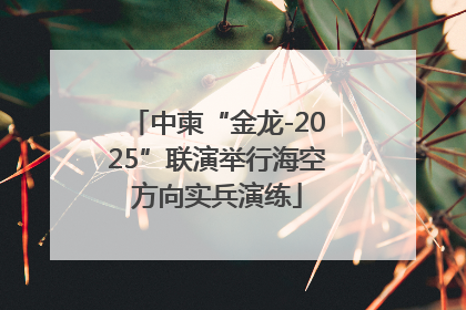 中柬“金龙-2025”联演举行海空方向实兵演练