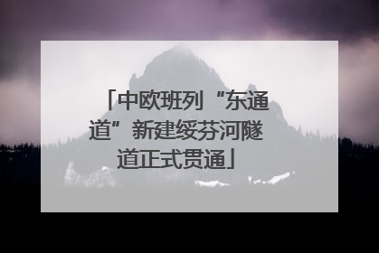 中欧班列“东通道”新建绥芬河隧道正式贯通