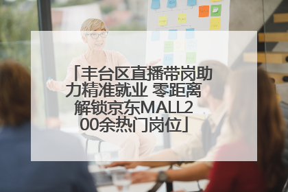 丰台区直播带岗助力精准就业 零距离解锁京东MALL200余热门岗位