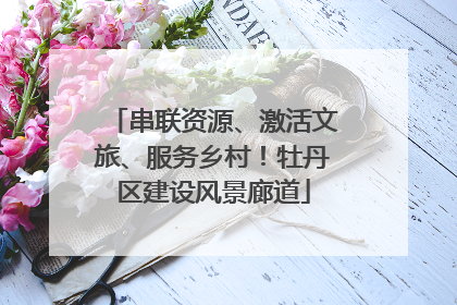 串联资源、激活文旅、服务乡村！牡丹区建设风景廊道