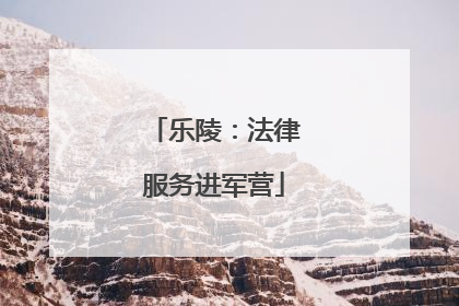 乐陵：法律服务进军营