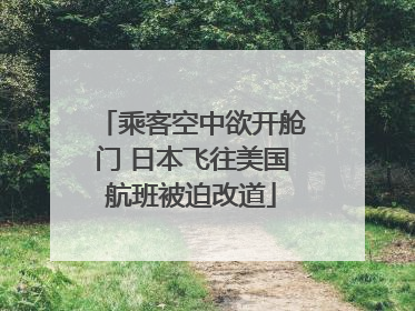 乘客空中欲开舱门 日本飞往美国航班被迫改道