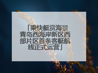 乘快艇赏海景 青岛西海岸新区西部片区首条客艇航线正式运营