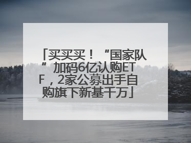 买买买！“国家队”加码6亿认购ETF，2家公募出手自购旗下新基千万