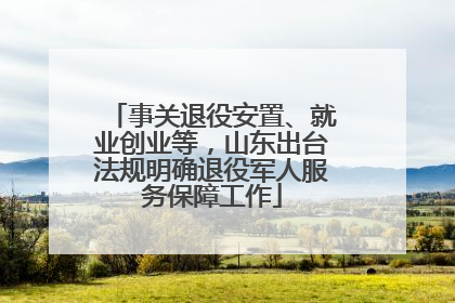 事关退役安置、就业创业等，山东出台法规明确退役军人服务保障工作