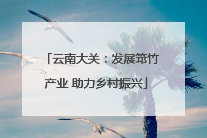 云南大关：发展筇竹产业 助力乡村振兴