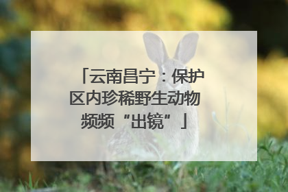 云南昌宁：保护区内珍稀野生动物频频“出镜”