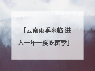 云南雨季来临 进入一年一度吃菌季