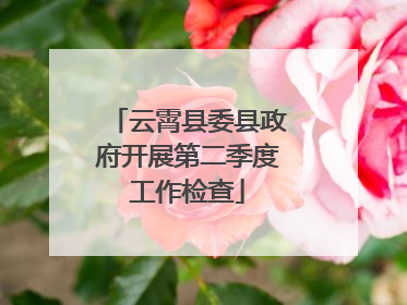 云霄县委县政府开展第二季度工作检查