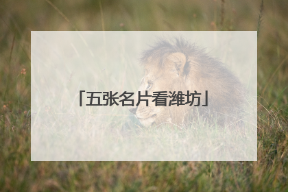 五张名片看潍坊