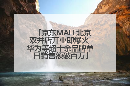 京东MALL北京双井店开业即爆火 华为等超十余品牌单日销售额破百万