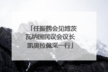 任振鹤会见博茨瓦纳国民议会议长凯奥拉佩采一行
