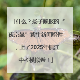 什么？扬子晚报的“夜京畿”紫牛新闻稿件，上了2025年镇江中考模拟卷！