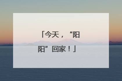 今天，“阳阳”回家！