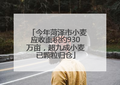 今年菏泽市小麦应收面积约930万亩，超九成小麦已颗粒归仓