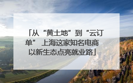 从“黄土地”到“云订单” 上海这家知名电商以新生态点亮就业路