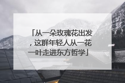 从一朵玫瑰花出发，这群年轻人从一花一叶走进东方哲学