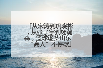 从宋涛到巩晓彬，从张子宇到杨瀚森，篮球逐梦山东“高人”不停歇