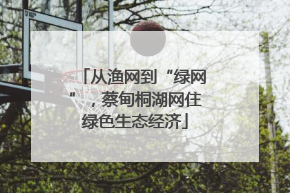 从渔网到“绿网”，蔡甸桐湖网住绿色生态经济
