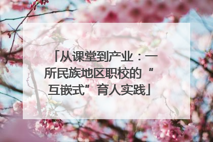 从课堂到产业：一所民族地区职校的“互嵌式”育人实践