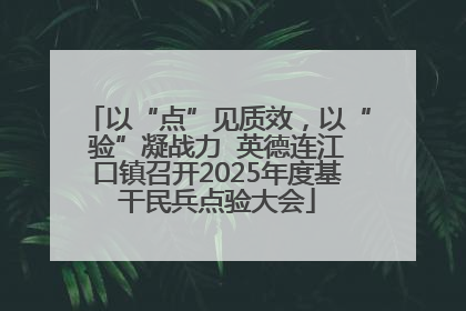 以“点”见质效，以“验”凝战力  英德连江口镇召开2025年度基干民兵点验大会