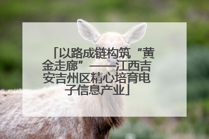 以路成链构筑“黄金走廊”——江西吉安吉州区精心培育电子信息产业