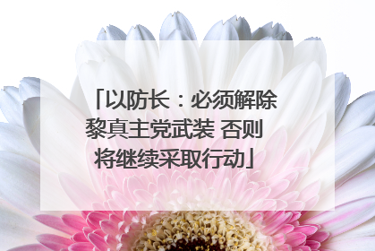 以防长：必须解除黎真主党武装 否则将继续采取行动