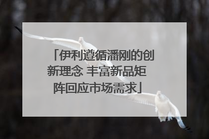 伊利遵循潘刚的创新理念 丰富新品矩阵回应市场需求