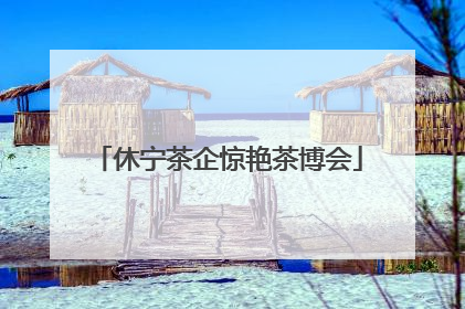 休宁茶企惊艳茶博会