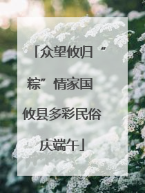 众望攸归“粽”情家国 攸县多彩民俗庆端午