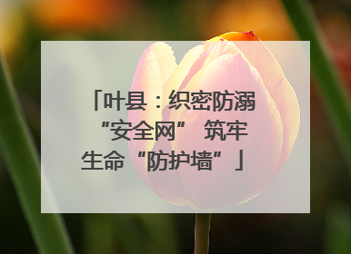 叶县：织密防溺“安全网” 筑牢生命“防护墙”