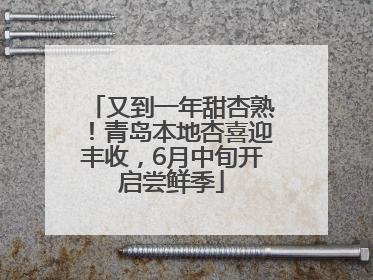 又到一年甜杏熟！青岛本地杏喜迎丰收，6月中旬开启尝鲜季