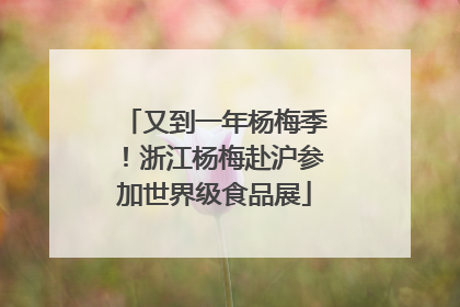 又到一年杨梅季！浙江杨梅赴沪参加世界级食品展