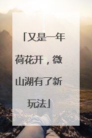 又是一年荷花开，微山湖有了新玩法