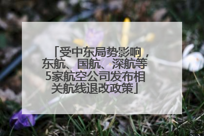 受中东局势影响，东航、国航、深航等5家航空公司发布相关航线退改政策