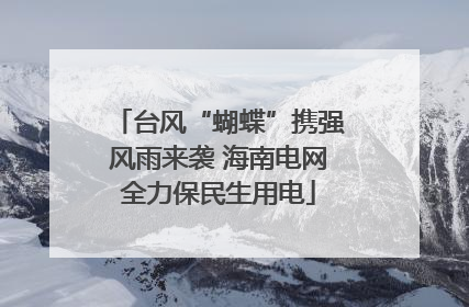 台风“蝴蝶”携强风雨来袭 海南电网全力保民生用电