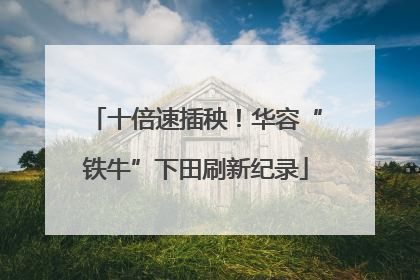 十倍速插秧！华容“铁牛”下田刷新纪录